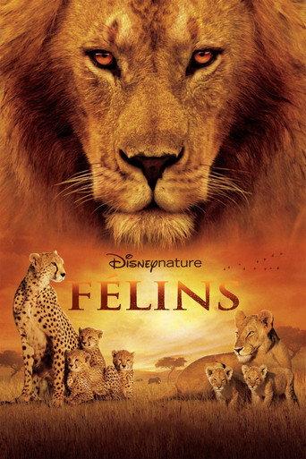Félins