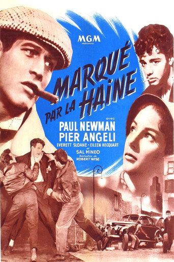 Marqué par la haine